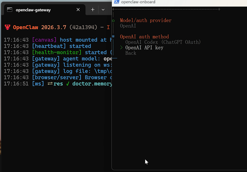 OpenClaw 新手必备!安装实用Skills,模型选择,浏览器自动化等! 4 屏幕截图 2026 03 09 185712